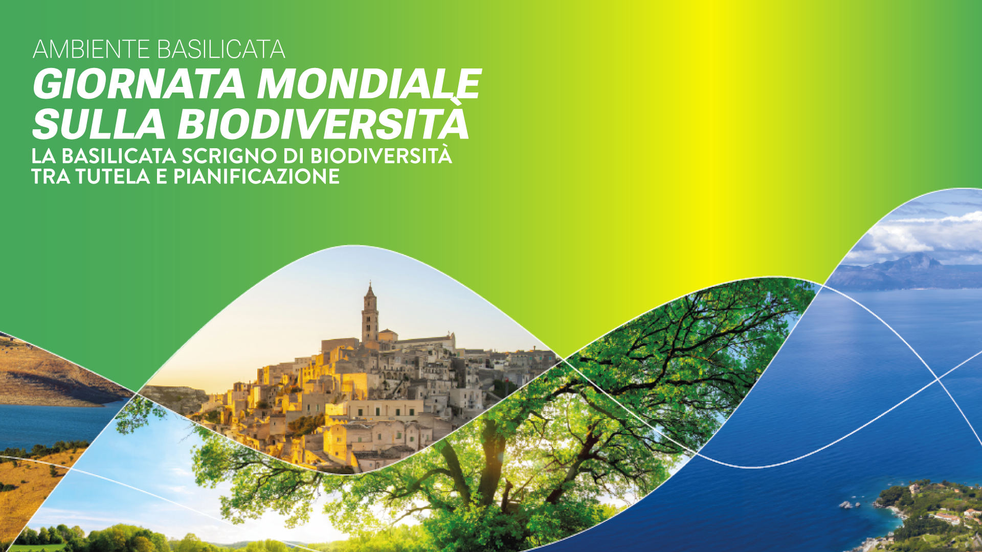 Progetto Rise